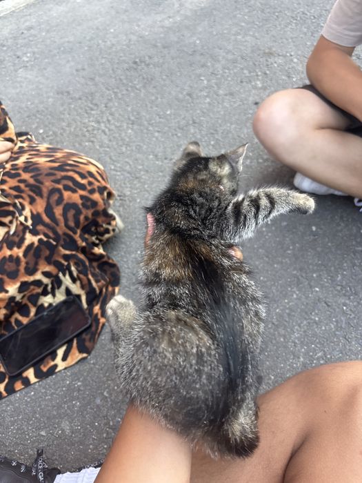 Cleopatra cauta o familie care sa o iubeasca