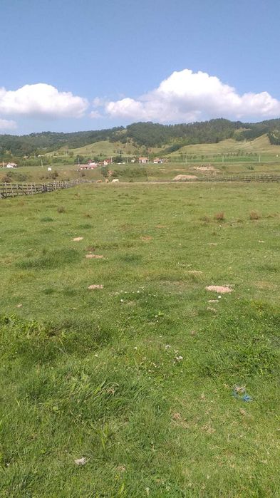 Vând 1,48 ha teren intravilan Vintu de Jos