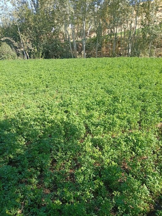 Участок сатылады