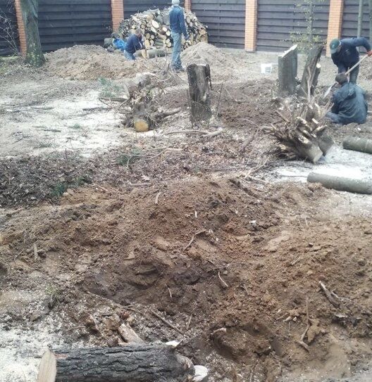 Уборка  теретории