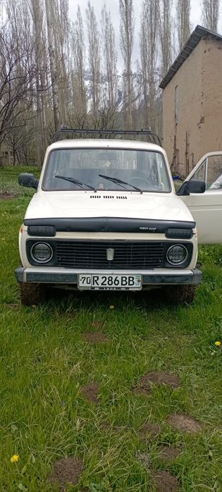 Нива родная краска