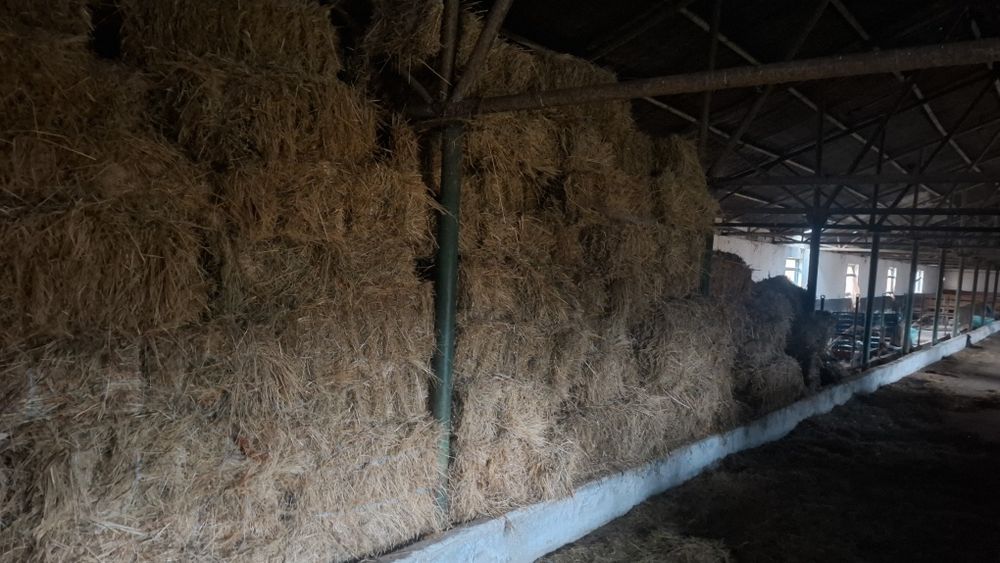 Vand baloți  de fan cu lucernă