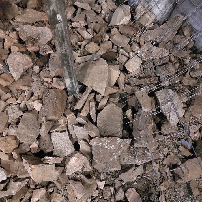 Продам шебпль крупный