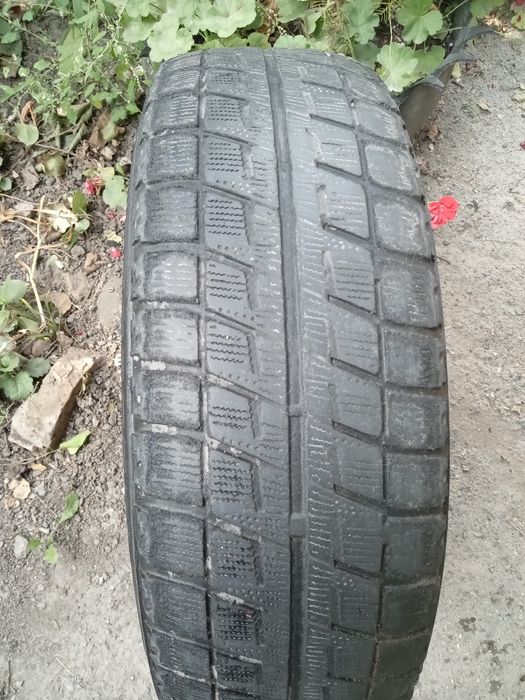 Продам резину Blizak