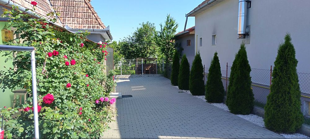 Casa de vanzare in Luduș
