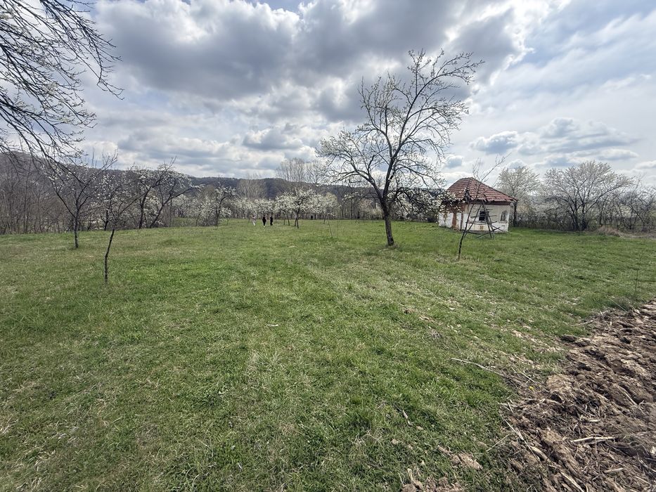 Vand casa batraneasca si teren