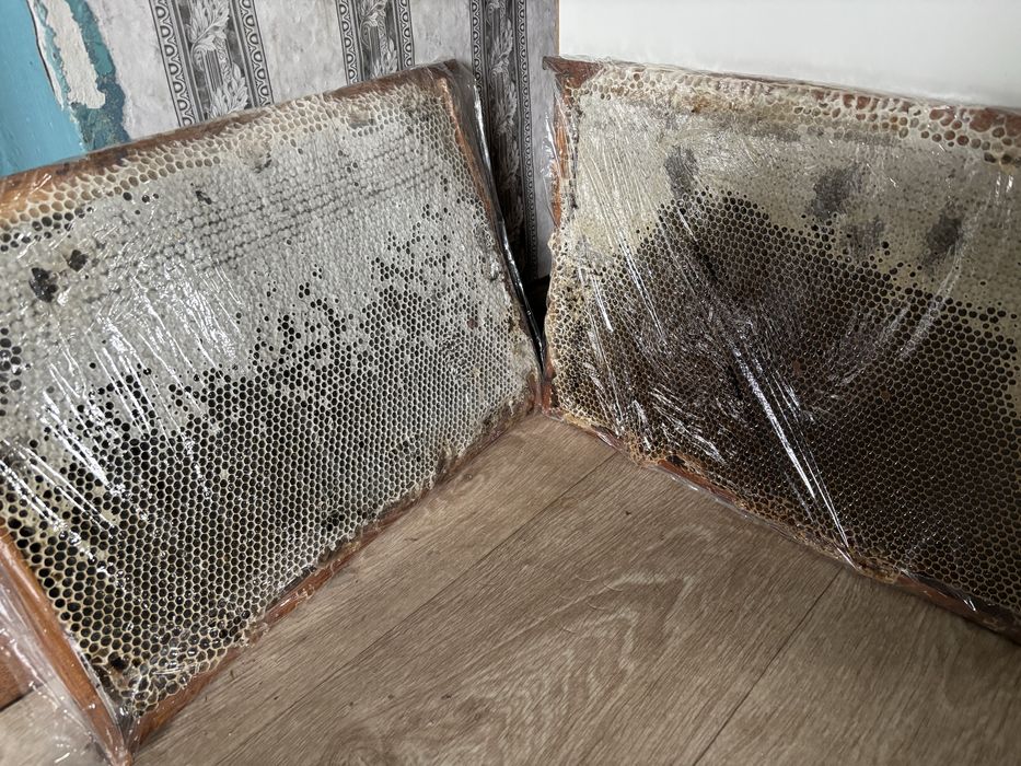 Продам натуральный мёд