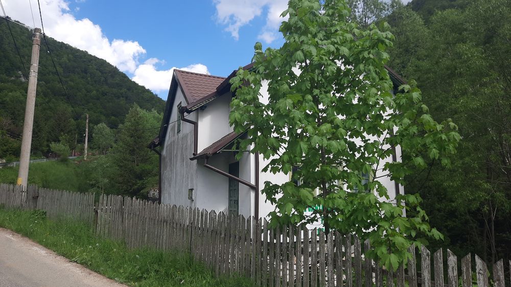 Teren frumos Dambovicioara Valea Urdii