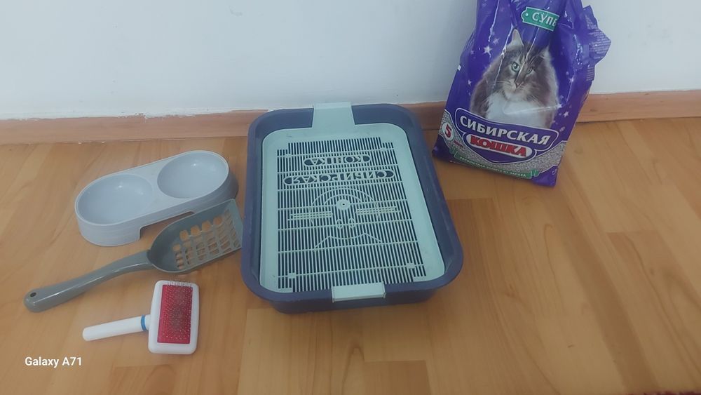 Лоток для кошка с наполнительном