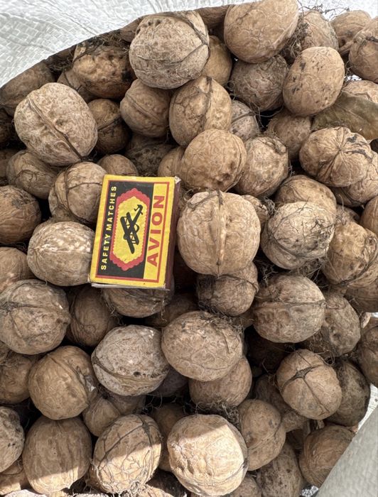 Гречецки орех 500тг кг