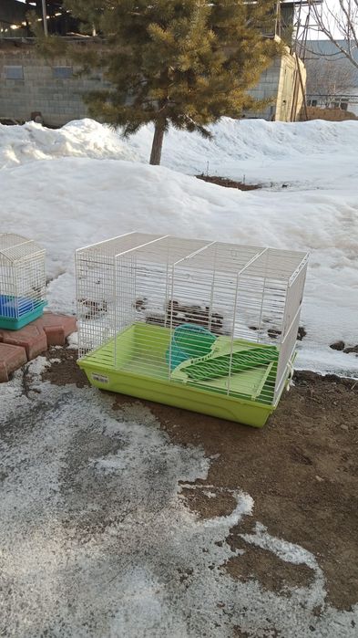 Клетка для маленьких