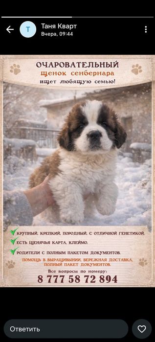 Готов резерв на щенков Сенбернара
