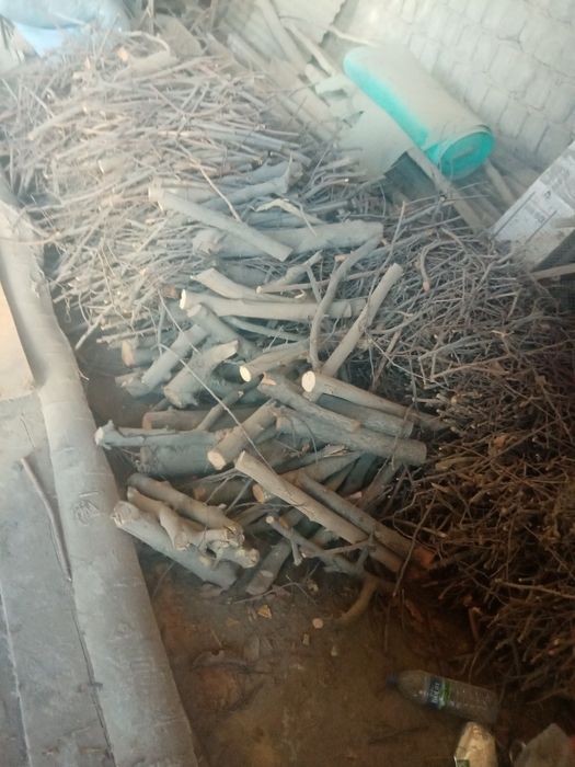 Дрова, утун для печки фруктовые и доски рейки