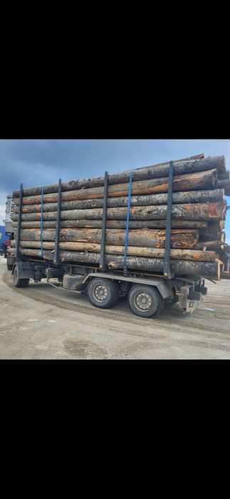 Lemn de foc fag si stejar, lemnul este și uscat