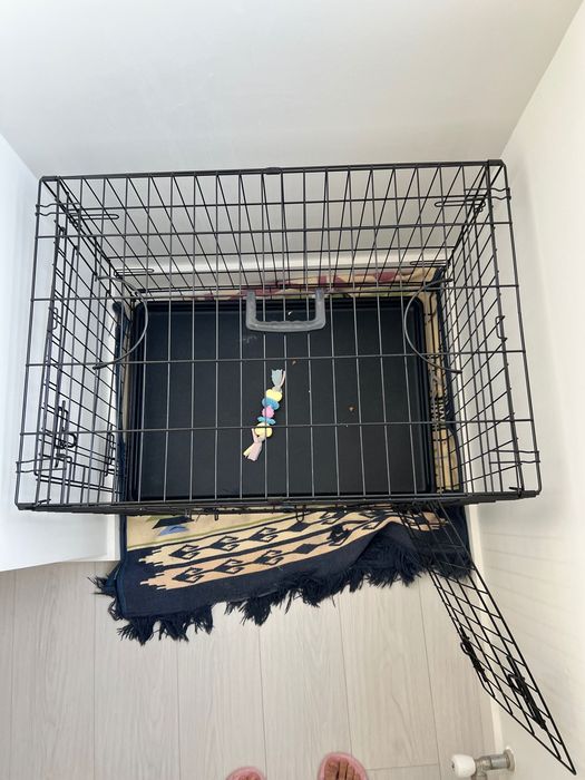 Новая клетка для питомцев