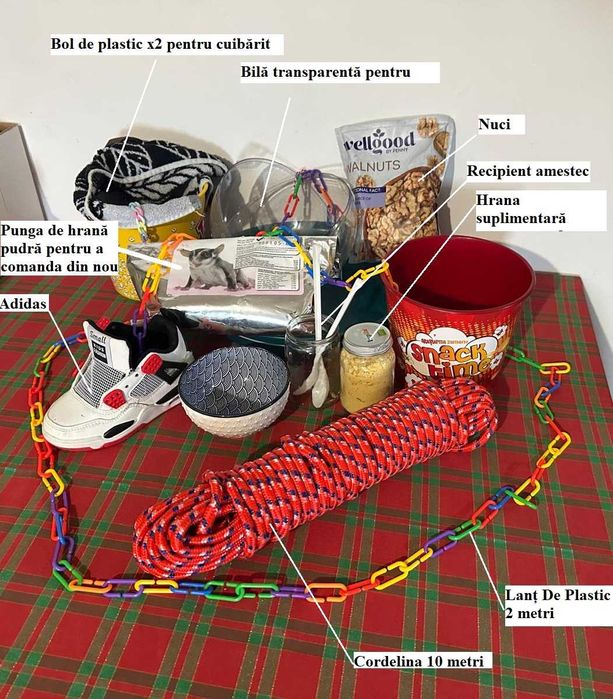 Veverita zburatoare + cușca + accesorii + hrana