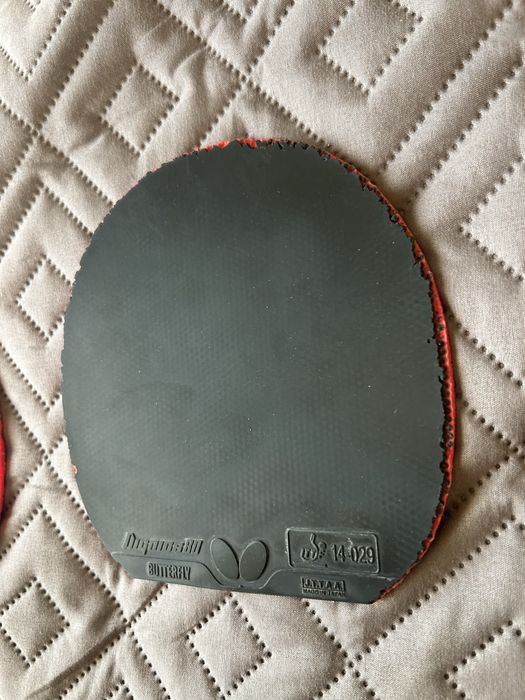 Fete tenis de masa Butterfly Dignics