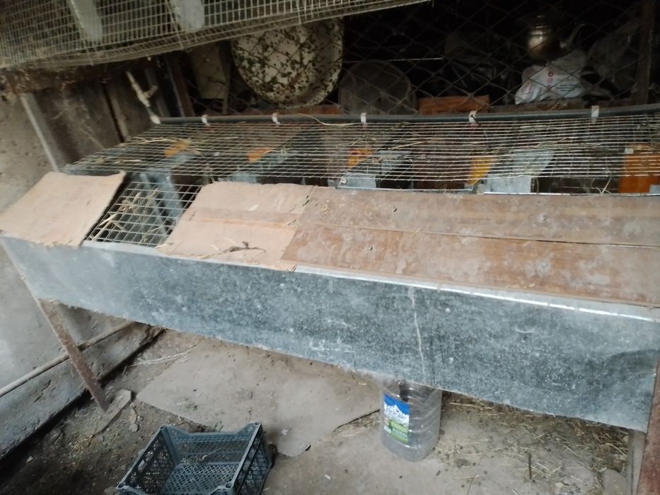 Нержавеющая клетка для кроликов