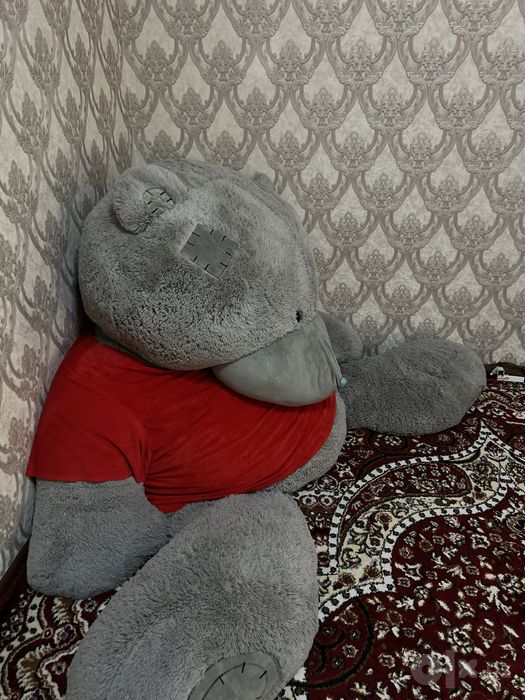 Teddy ayiq eng kattasi