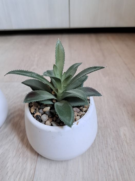 Продам искусственные растения