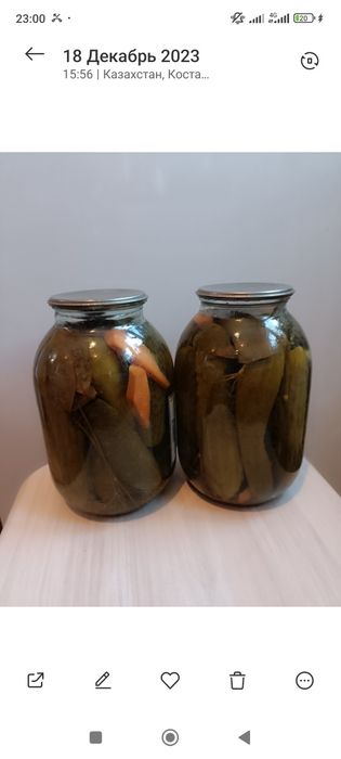 Огурцы, помидоры кжби