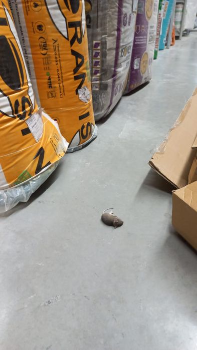 Дезинфекция Астана