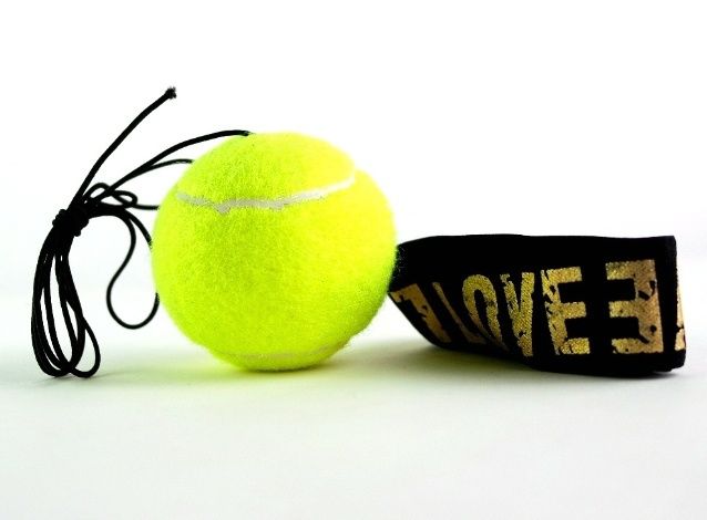 Штанга, гантели, груша, турник