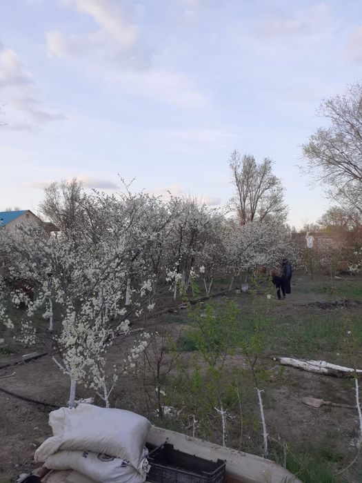 Дача в районе Черной речки