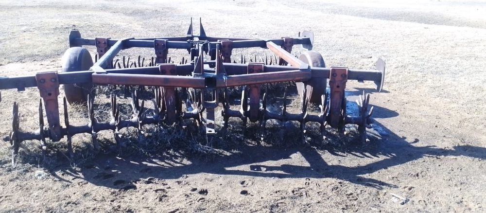 Борана игольчатая