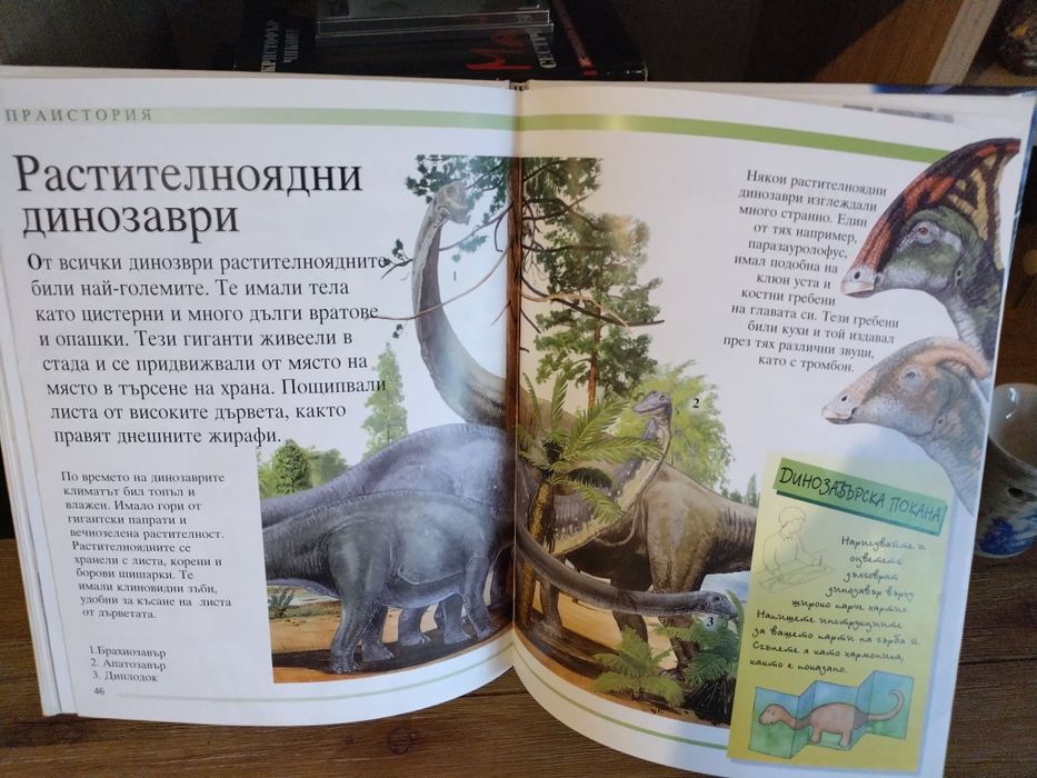 Интересна енциклопедия Вселена и праистория