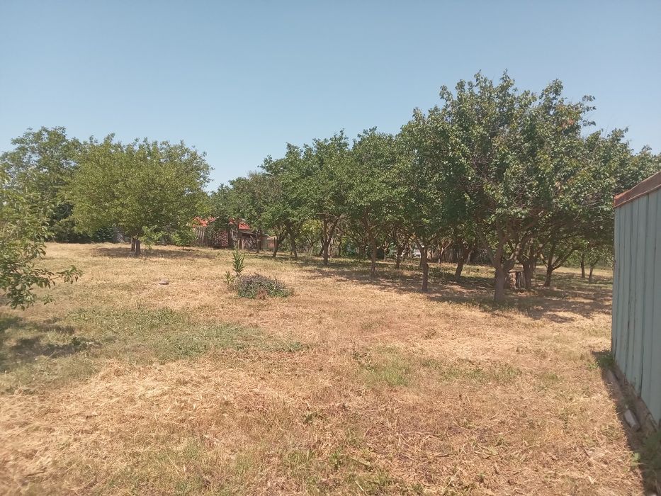 Продава се Парцел в с. Белоградец, Област Варна - 2500 кв.м за 6 €/кв.м - Снимка #2