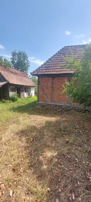 Vând casa cu grădină