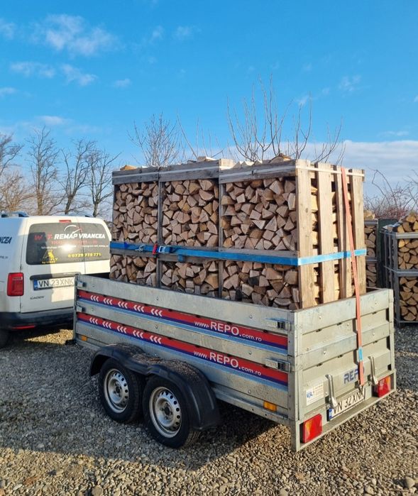 Lemne de foc salcam romanesc fag sau stejar tăiate paletizate