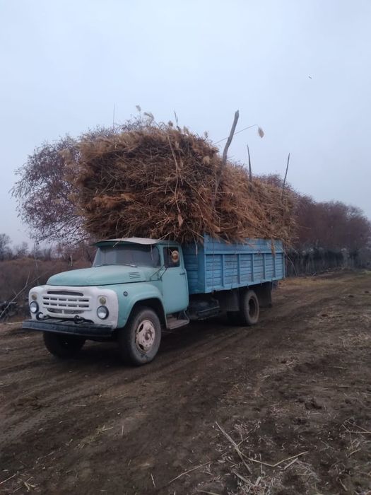 Камыс сабан прес бар