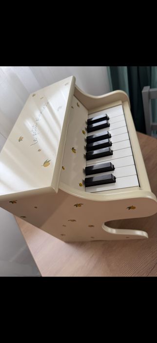 Le petit pianiste copii