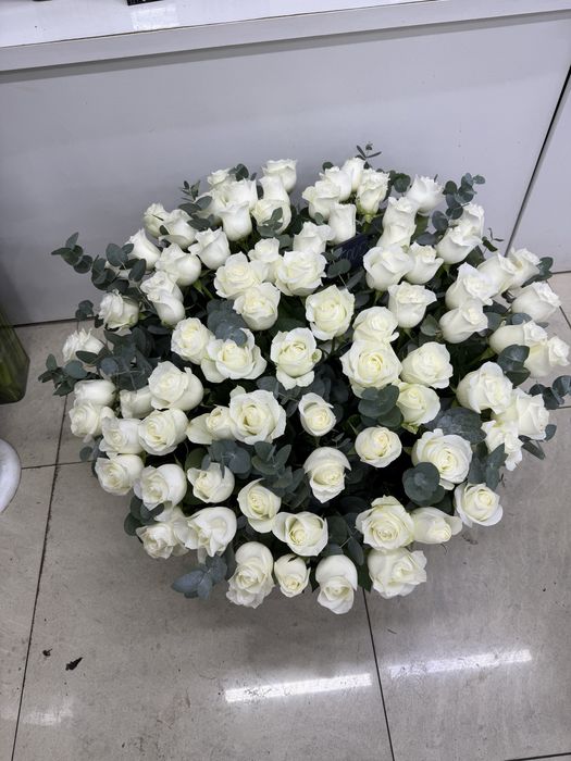 101 гортензия в коробке