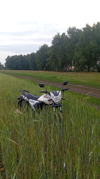 Альфа 110 sx vento riva
