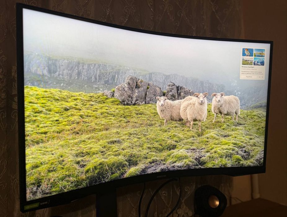 Monitor sodiladi xolati ideyal realni oladigonla aloqaga chiqila