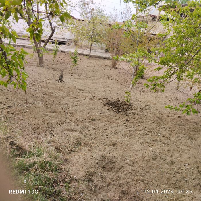 Фергана горд ул Мустакиллик 222а