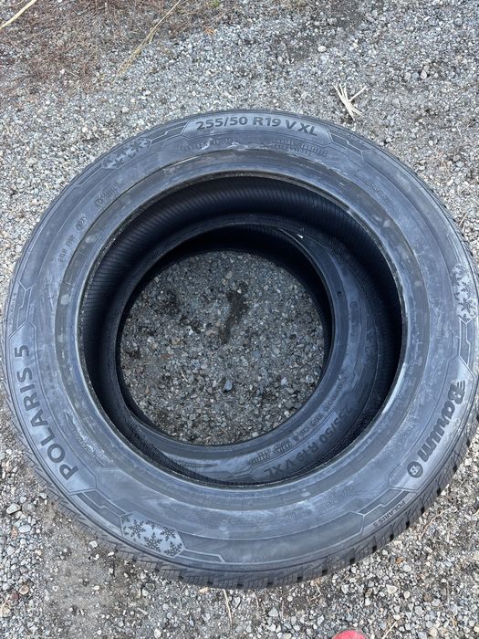 Barum 255/50r19 iarna