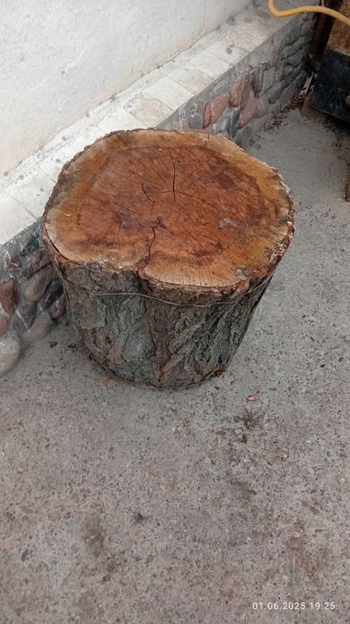 Ўрик дарахтдан гўшт майдалаш усун кундалар сотилади