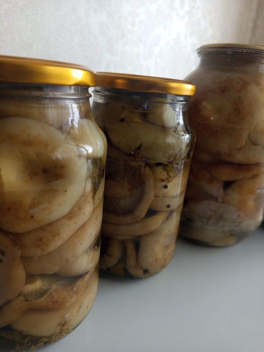 Продам соленые грибы