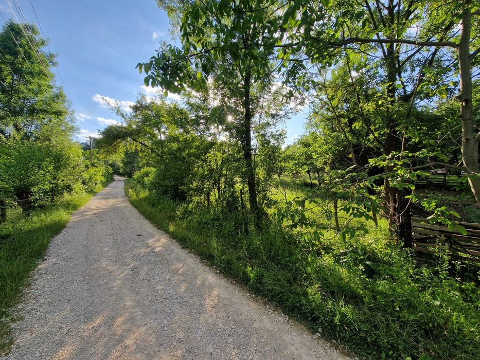 Teren de vanzare Cucuteni