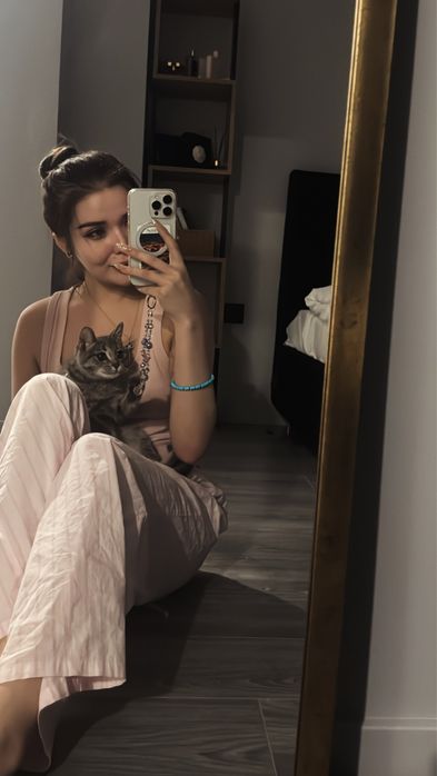 Кошка британская