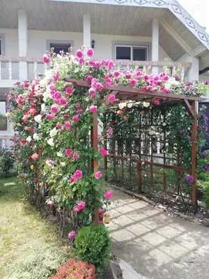 Urgent .Proprietar, parter la casa cu etaj, Mogosesti - Iasi, 10 km