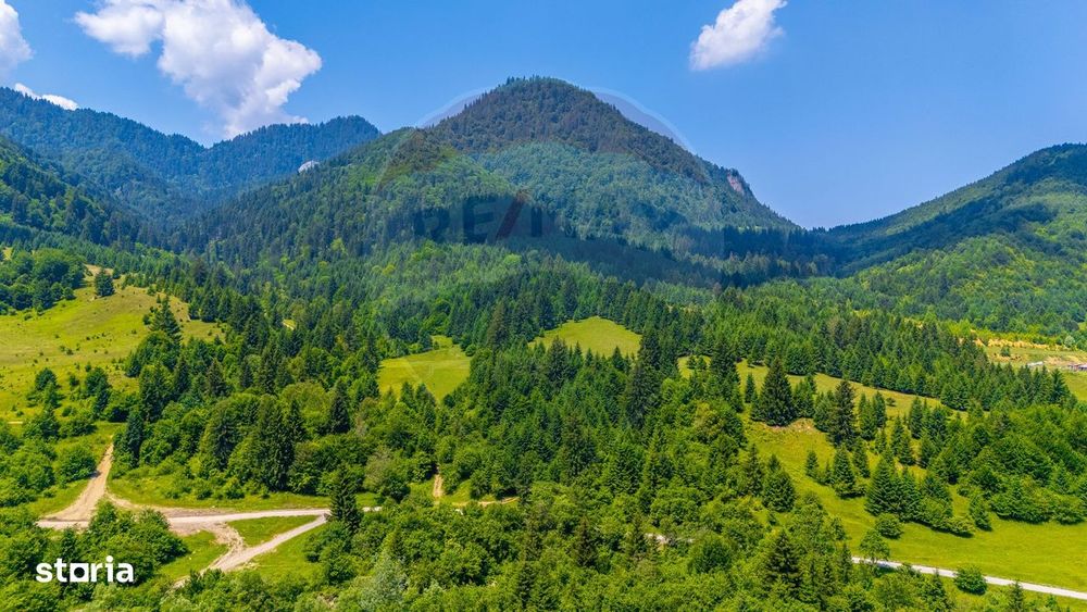 Natură— 18.900 mp în Săcele, cu râu și priveliște montană