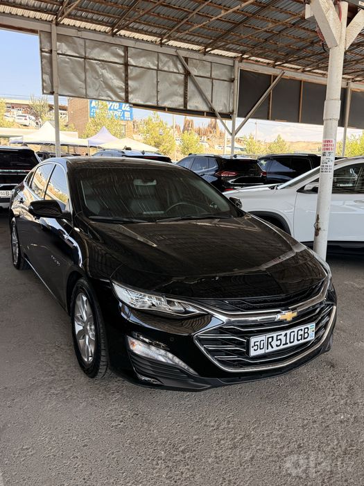 Malibu primer 2021 yil tozza yumshoq bolon tan ruxsat