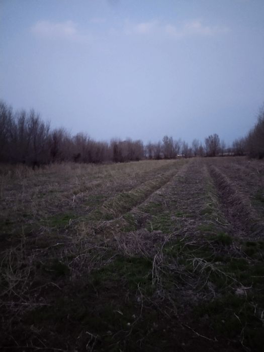 Продам дом  2 комнат