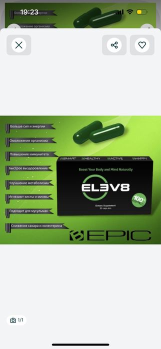 Элев 8, Элеф8, ELEV 8, Элиф8