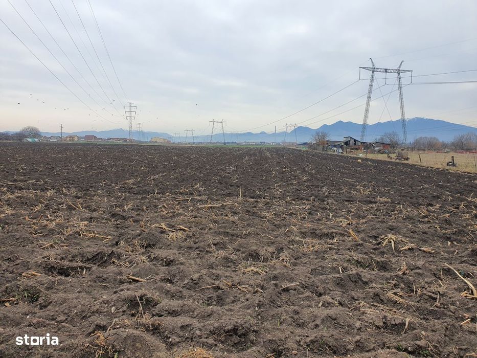 Teren Sanpetru zona de case pretabil investitie